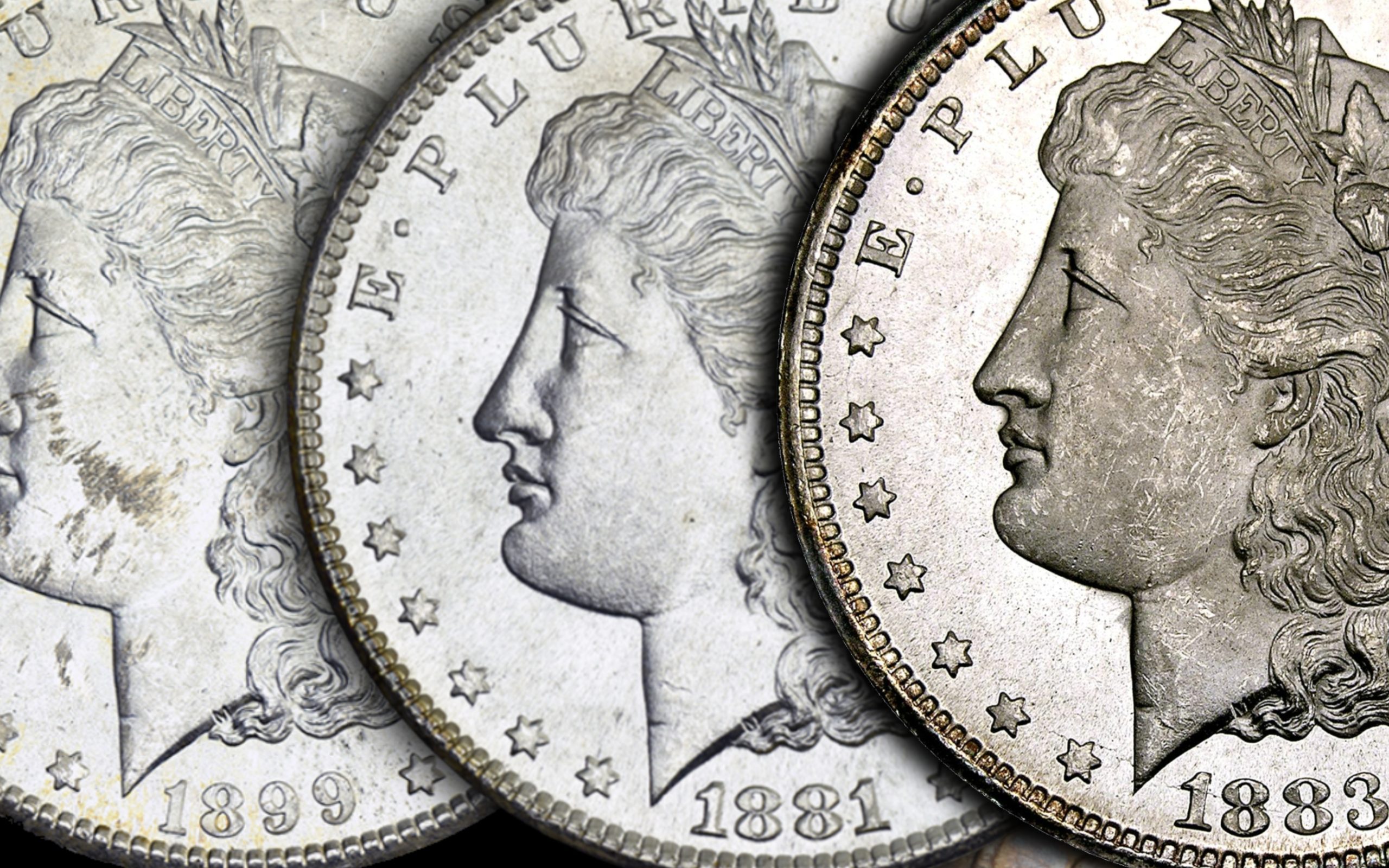 morgan dollar grading set banner (1)